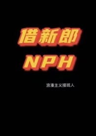 nph故障代码